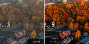 Colorful Autumn Presets For Drones - Pilot Presets