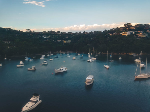 Waterfront houses and boats at Sailors Bay, Sydney (The Bulwark, The Scarp, Oriel Reserve, Linden Way Reserve)